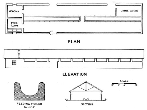 Lean To Shed Popular Design A Cattle Shed